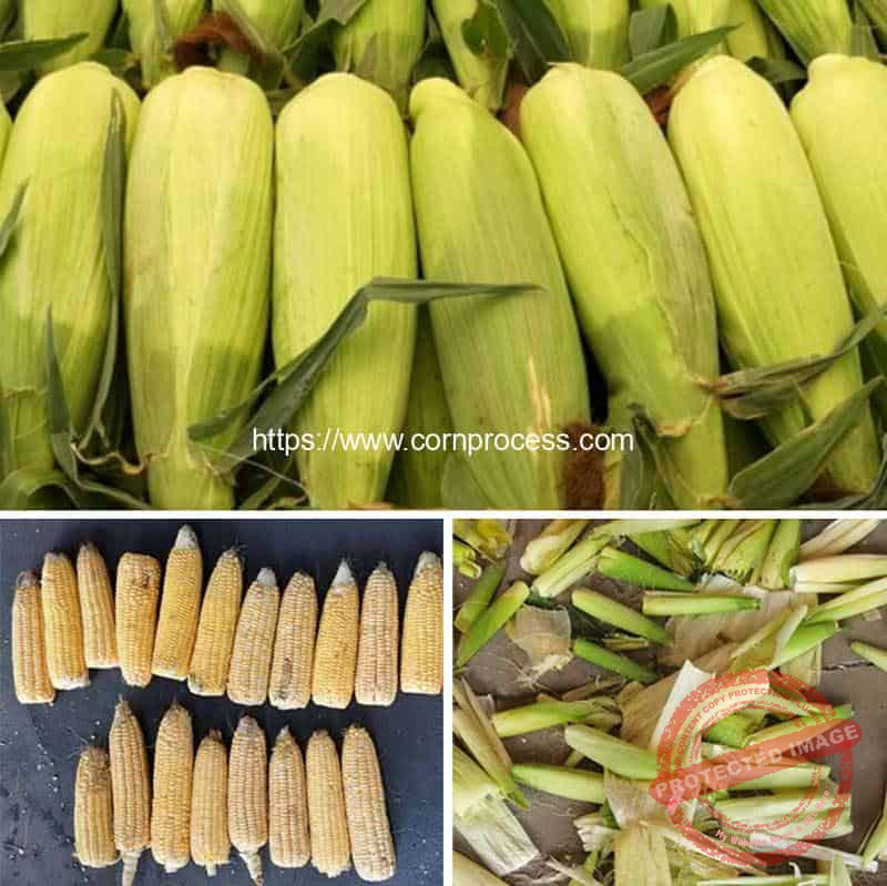 Rubber-Roller-Type-Fresh-Sweet-Corn-Dehusking-Machine-Result